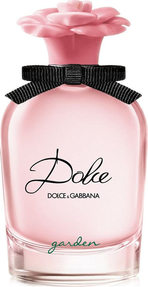 dolce dolce gabbana 30ml|dolce gabbana dolce women perfume.